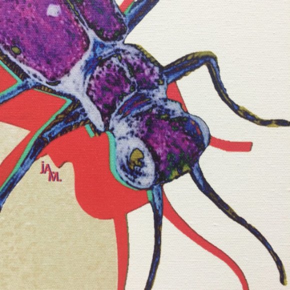 Tiger Beetle - Original Wall Art print on 12 x 12 canvas - Picture 4 of 6